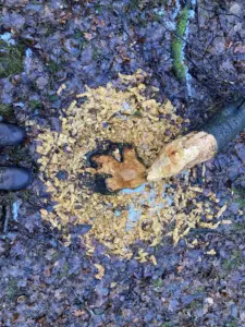 Facebook-Postdaten als persönliche musikalische Zeitmaschine – Teil 2 (2013-2019)